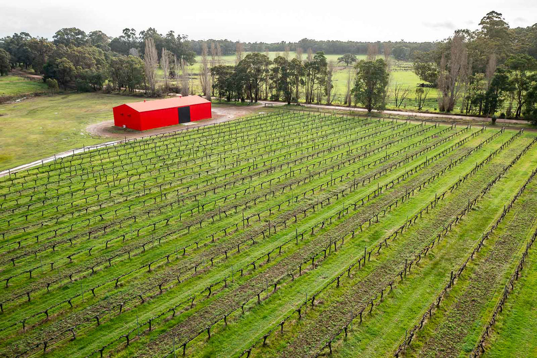 About Us – Redshed Wines